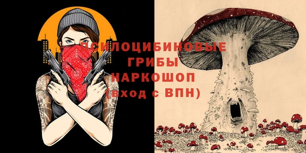 хмурый Армянск