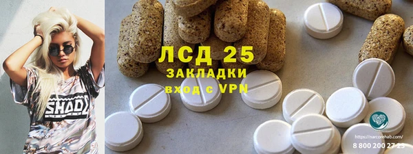 спиды Аркадак